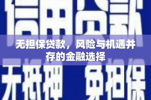 临湘无担保贷款，风险与机遇并存的金融选择