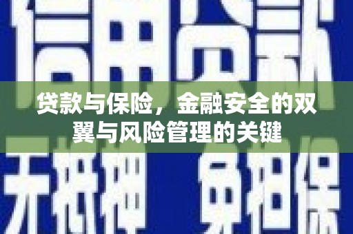 临湘贷款与保险，金融安全的双翼与风险管理的关键