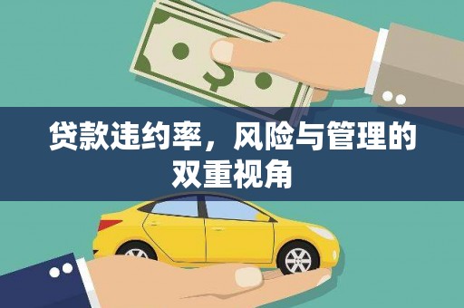 临湘贷款违约率，风险与管理的双重视角