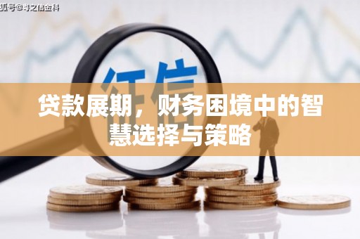 临湘贷款展期，财务困境中的智慧选择与策略