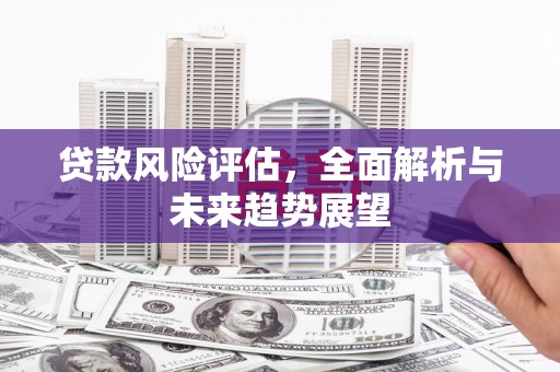 临湘贷款风险评估，全面解析与未来趋势展望