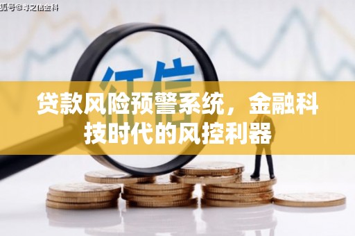 临湘贷款风险预警系统，金融科技时代的风控利器