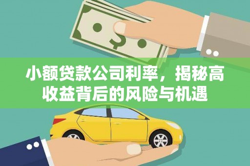 临湘小额贷款公司利率，揭秘高收益背后的风险与机遇