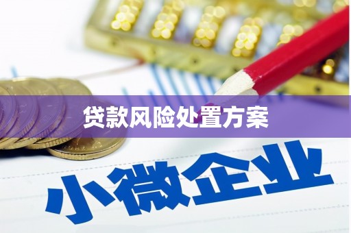 临湘贷款风险处置方案