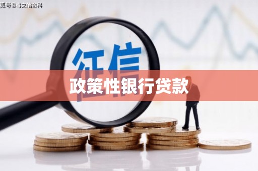 临湘政策性银行贷款