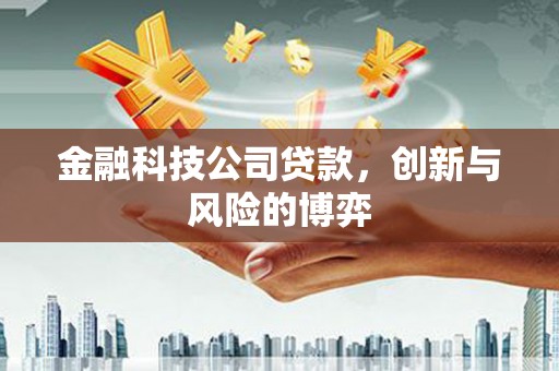 临湘金融科技公司贷款，创新与风险的博弈