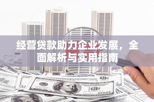 临湘经营贷款助力企业发展，全面解析与实用指南
