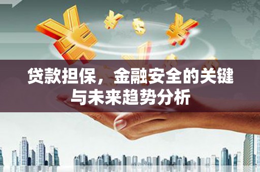 临湘贷款担保，金融安全的关键与未来趋势分析