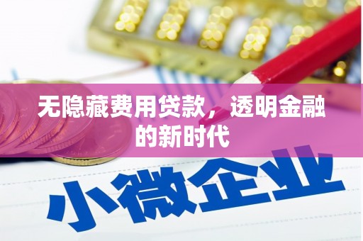 临湘无隐藏费用贷款，透明金融的新时代