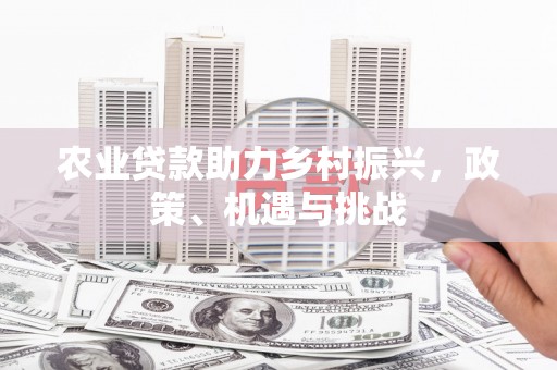 临湘农业贷款助力乡村振兴，政策、机遇与挑战