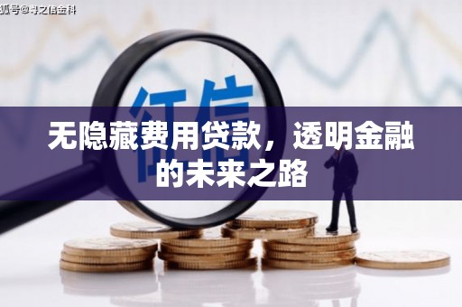 临湘无隐藏费用贷款，透明金融的未来之路