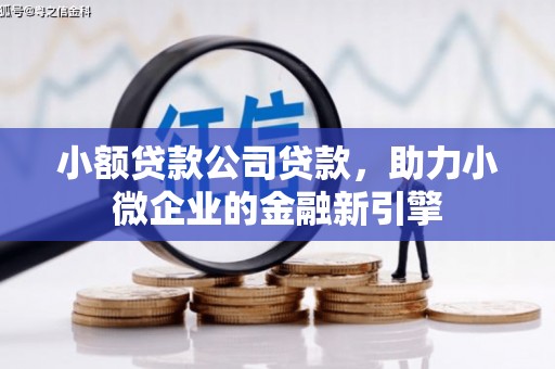 临湘小额贷款公司贷款，助力小微企业的金融新引擎