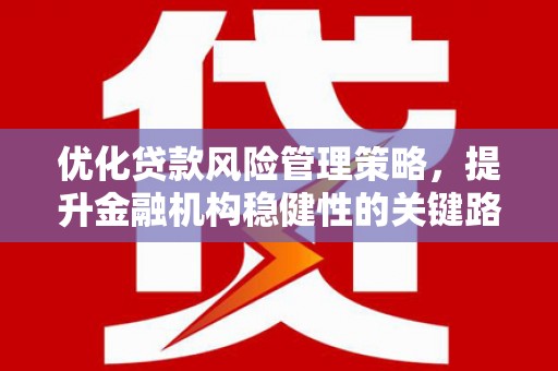 临湘优化贷款风险管理策略，提升金融机构稳健性的关键路径