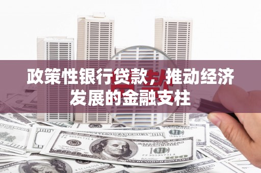 临湘政策性银行贷款，推动经济发展的金融支柱