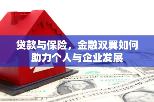 临湘贷款与保险，金融双翼如何助力个人与企业发展