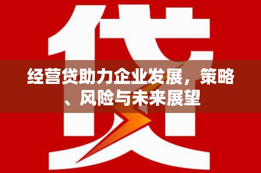 临湘经营贷助力企业发展，策略、风险与未来展望