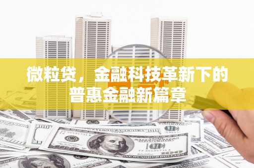 临湘微粒贷，金融科技革新下的普惠金融新篇章