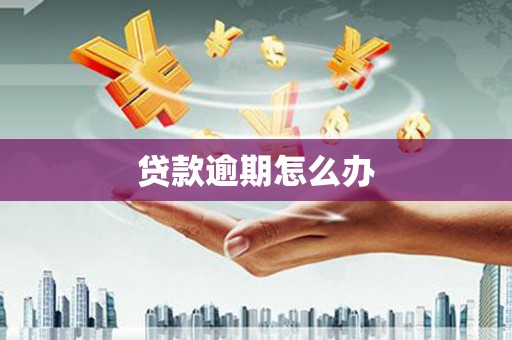 临湘贷款逾期怎么办