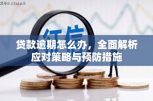 临湘贷款逾期怎么办，全面解析应对策略与预防措施