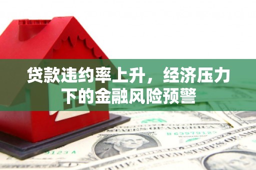 临湘贷款违约率上升，经济压力下的金融风险预警