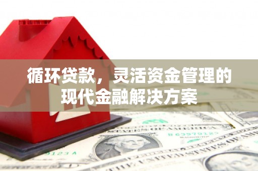 临湘循环贷款，灵活资金管理的现代金融解决方案