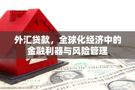 临湘外汇贷款，全球化经济中的金融利器与风险管理