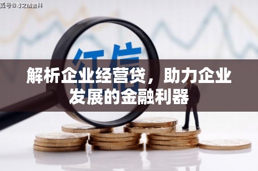 临湘解析企业经营贷，助力企业发展的金融利器
