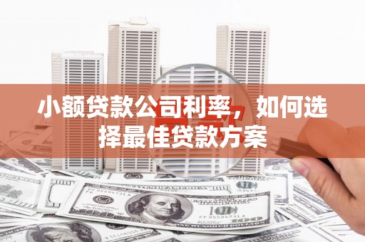 临湘小额贷款公司利率，如何选择最佳贷款方案