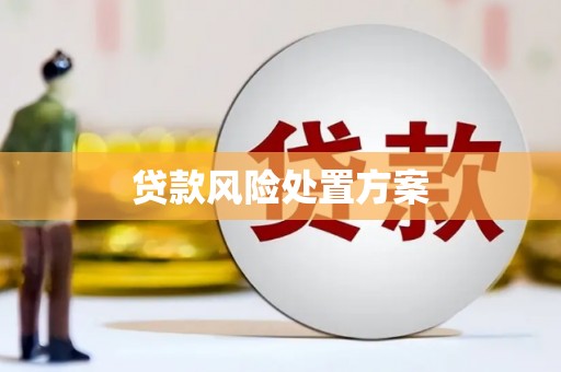 临湘贷款风险处置方案