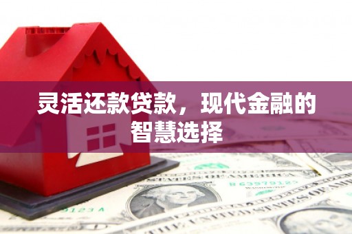 临湘灵活还款贷款，现代金融的智慧选择