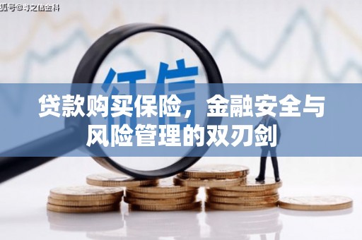 临湘贷款购买保险，金融安全与风险管理的双刃剑