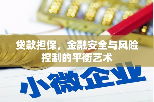 临湘贷款担保，金融安全与风险控制的平衡艺术