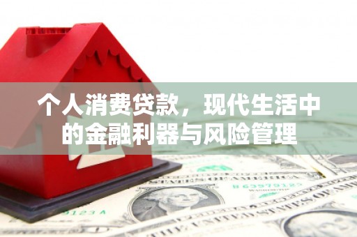 临湘个人消费贷款，现代生活中的金融利器与风险管理