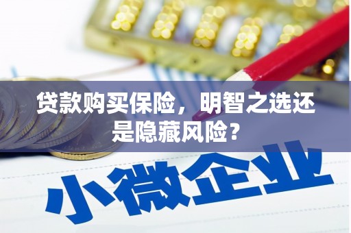 临湘贷款购买保险，明智之选还是隐藏风险？