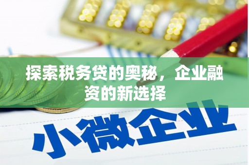 临湘探索税务贷的奥秘，企业融资的新选择