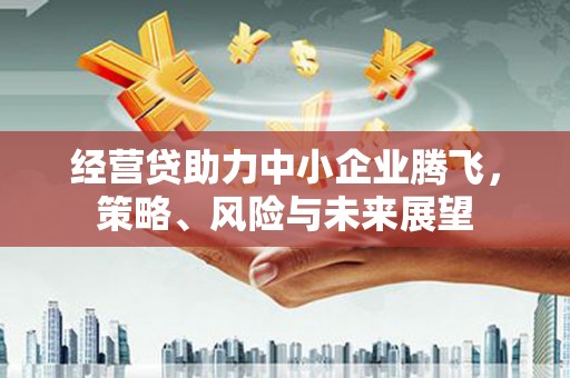 临湘经营贷助力中小企业腾飞，策略、风险与未来展望