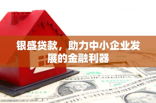 临湘银盛贷款，助力中小企业发展的金融利器