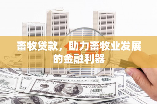 临湘畜牧贷款，助力畜牧业发展的金融利器
