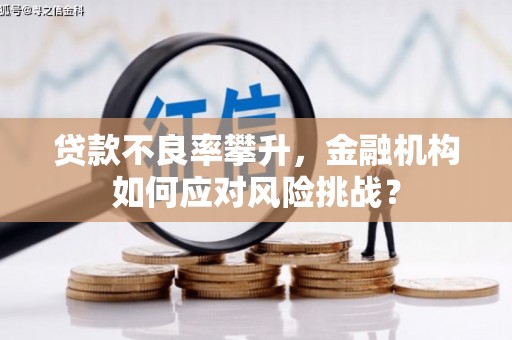 临湘贷款不良率攀升，金融机构如何应对风险挑战？