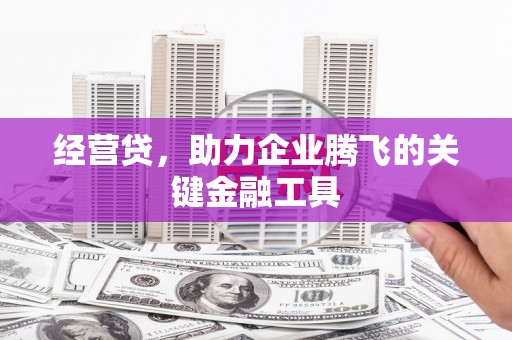 临湘经营贷，助力企业腾飞的关键金融工具