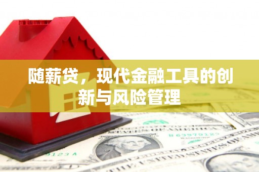 临湘随薪贷，现代金融工具的创新与风险管理