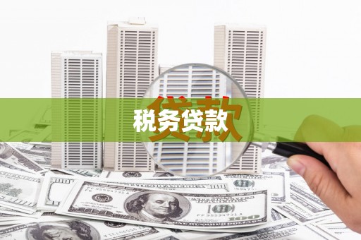 临湘税务贷款