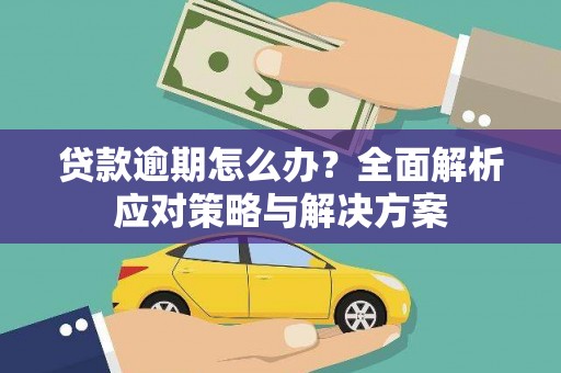 临湘贷款逾期怎么办？全面解析应对策略与解决方案