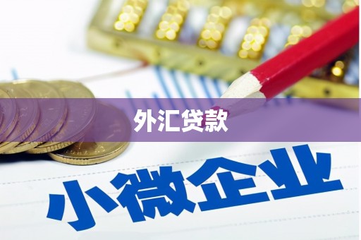 临湘外汇贷款