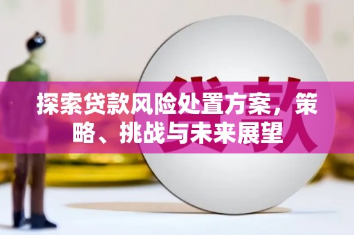 临湘探索贷款风险处置方案，策略、挑战与未来展望