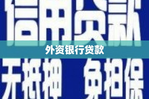 临湘外资银行贷款
