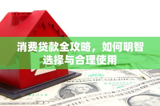 临湘消费贷款全攻略，如何明智选择与合理使用