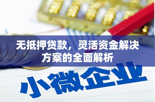 临湘无抵押贷款，灵活资金解决方案的全面解析