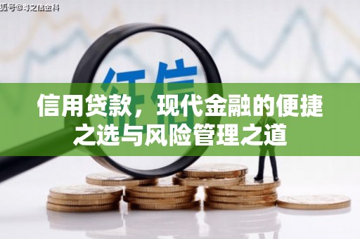 临湘信用贷款，现代金融的便捷之选与风险管理之道