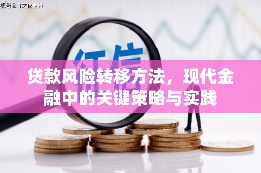 临湘贷款风险转移方法，现代金融中的关键策略与实践